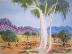 Therese RYDER PARULA - Ghost Gum Eastern MacDonnells
